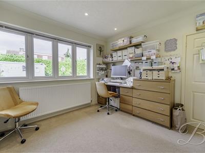 Picture 23